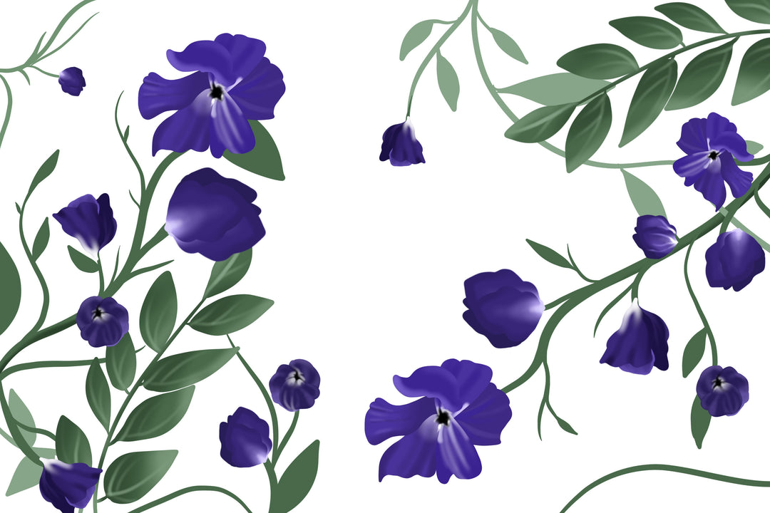 Blue Flower Power: Discover The Enchanting Butterfly Pea Flower